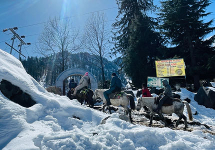 Chandigarh to Manali Cabs