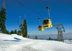 Excursion to Gulmarg | Gondola Ride & Snow Activities