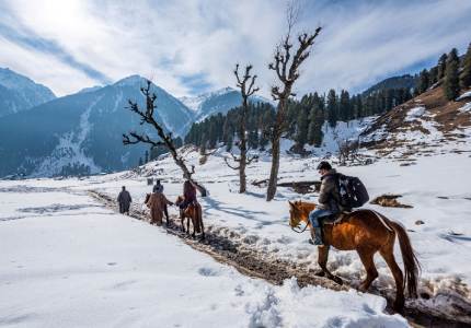 Chandigarh to Amritsar & Kashmir: 8-Days Heritage & Hills