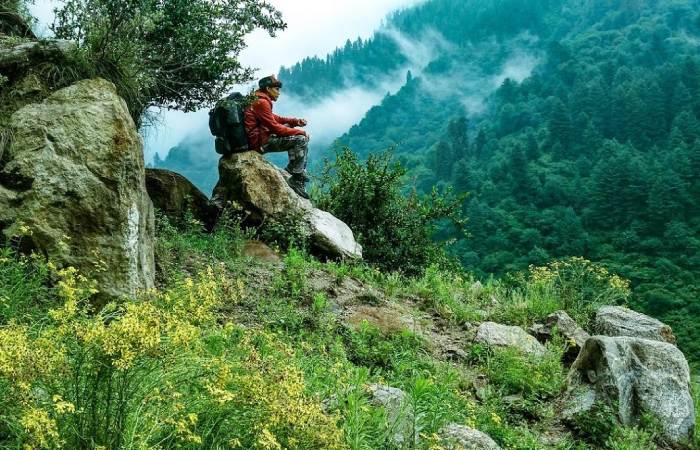 Kasol Taxi Service