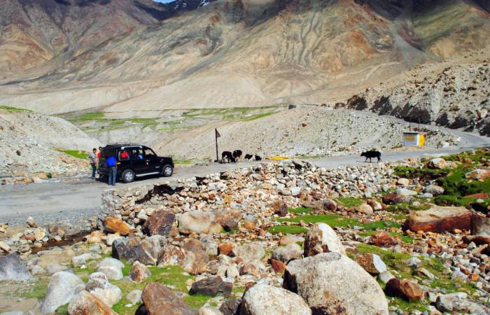 Book a Cab from Manali to Anywhere