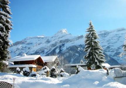 Chandigarh to Manali: Hillside Getaway