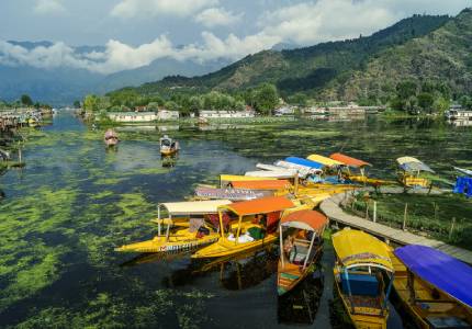 Srinagar Cabs